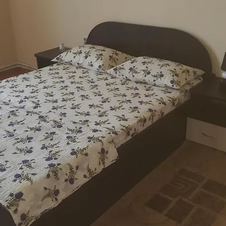 Casa Ovi Si Simo * Haţeg