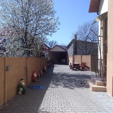 Casa Ovi Si Simo Gasthuis Haţeg