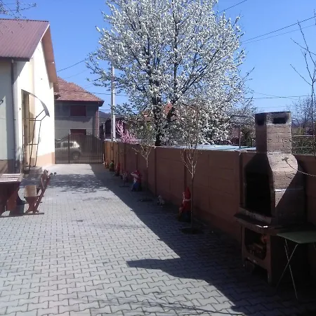 Casa Ovi Si Simo Gasthuis Haţeg