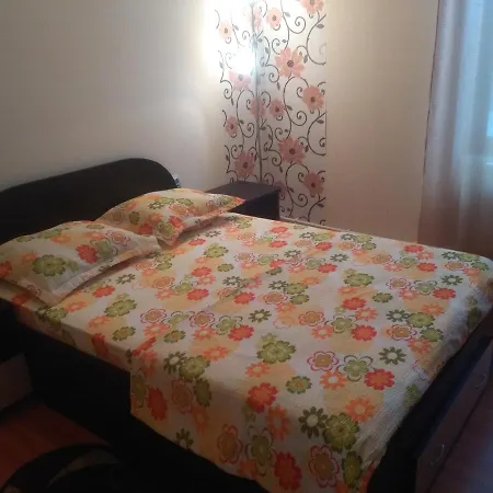 Casa Ovi Si Simo * Haţeg