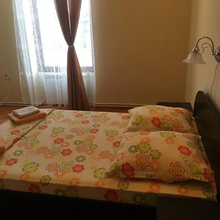 Casa Ovi Si Simo * Haţeg