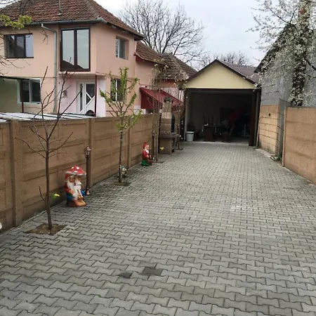 Casa Ovi Si Simo * Haţeg